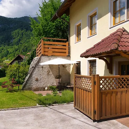 דירה Pinus Alpinia בוהינסקה בלה