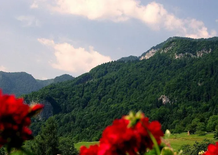 Pinus Alpinia 公寓 *