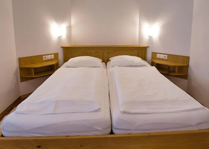 Pinus Alpinia * 波希基斯卡贝拉